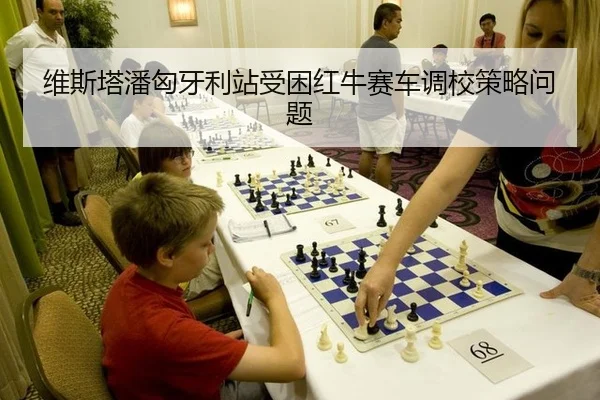 维斯塔潘匈牙利站受困红牛赛车调校策略问题
